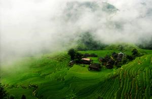 Congjiang Jiabang Terraced Fields